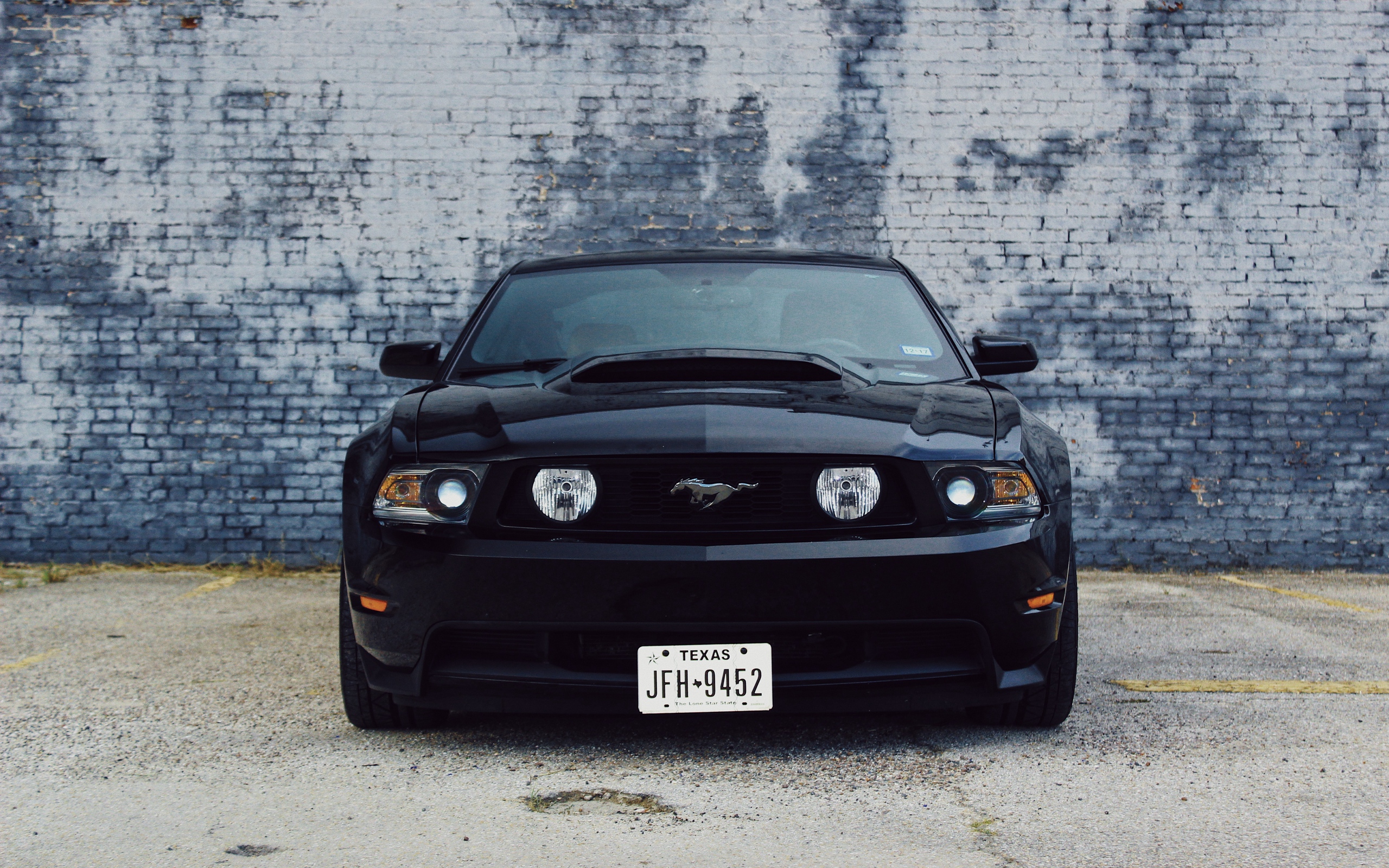 Wallpaper of Ford Mustang, Car, Black, Front View background & HD image