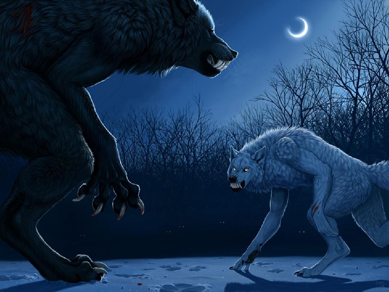Werewolf Wallpaper and Background Imagex960