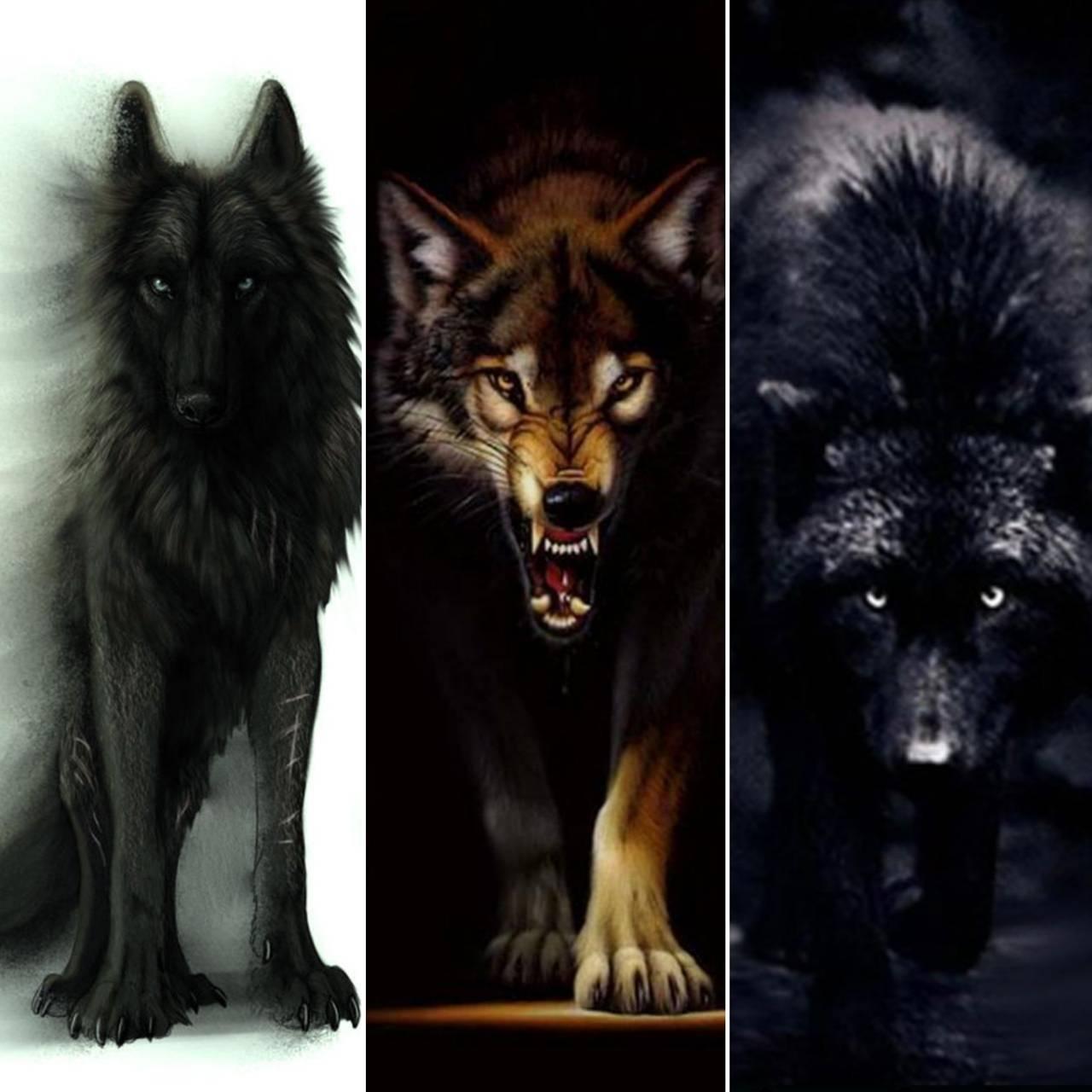 Werewolf fight Wallpaper