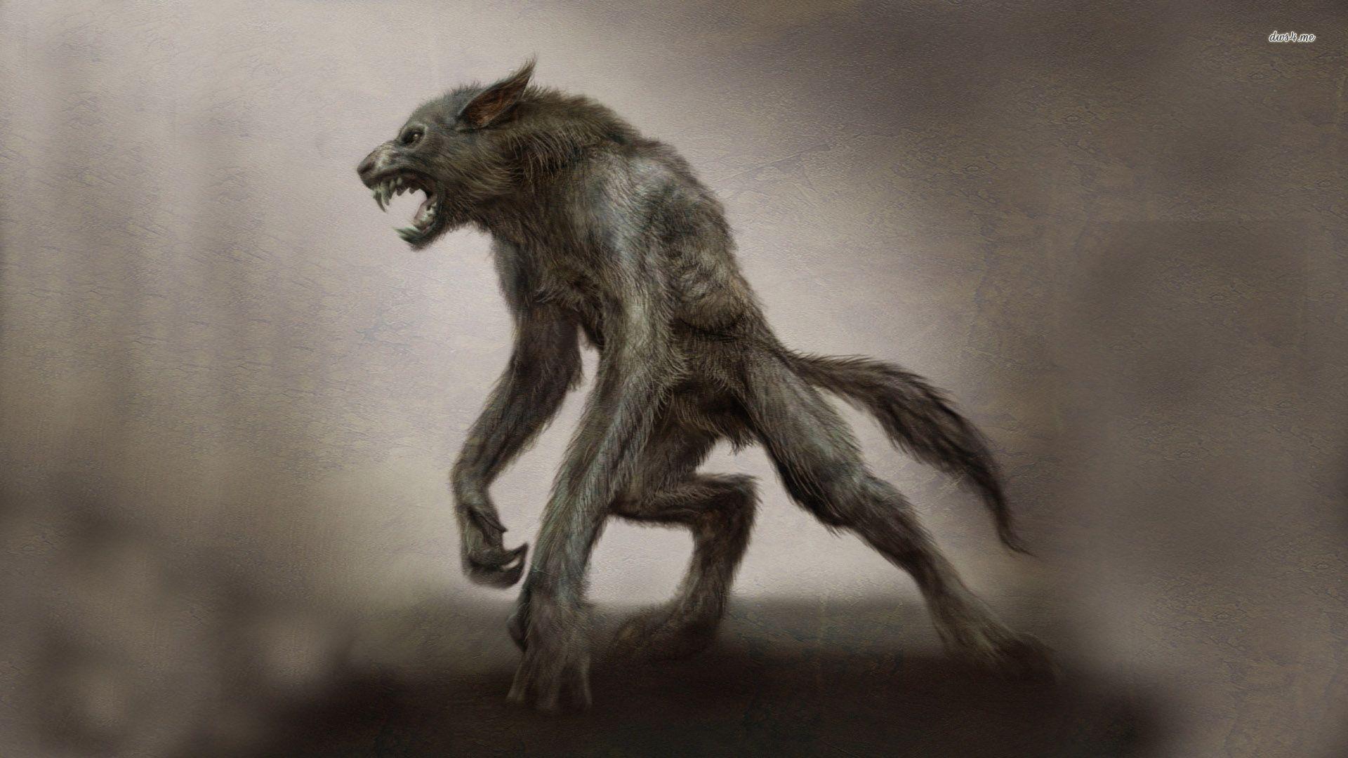 Werewolf wallpaper wallpaper