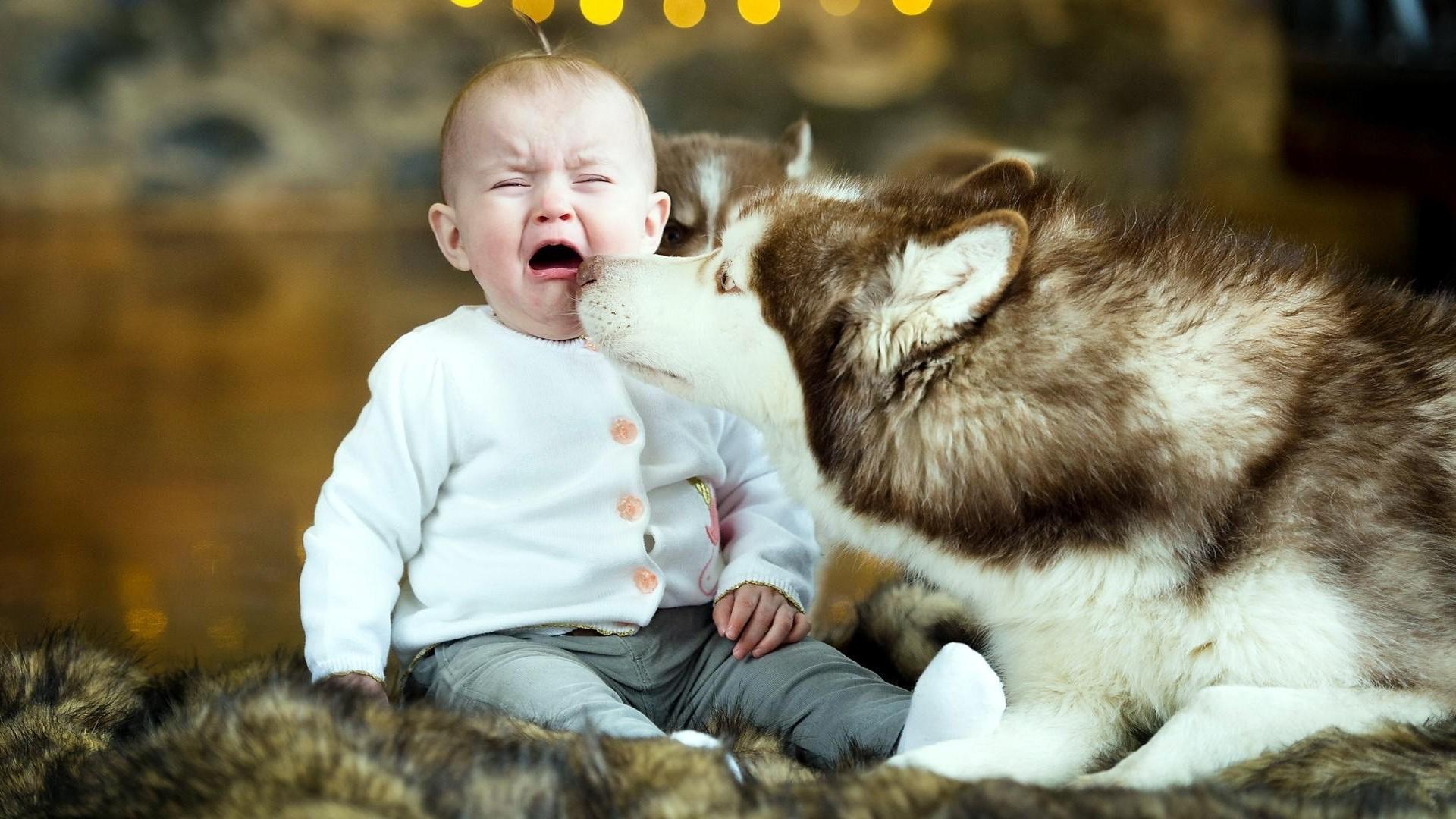 Cute Crying Baby With Dog Wallpaper