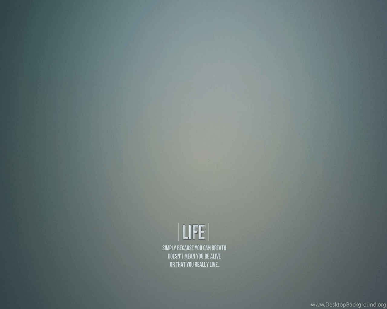 The Meaning Of Life, Gray Background, Lettering Wallpaper