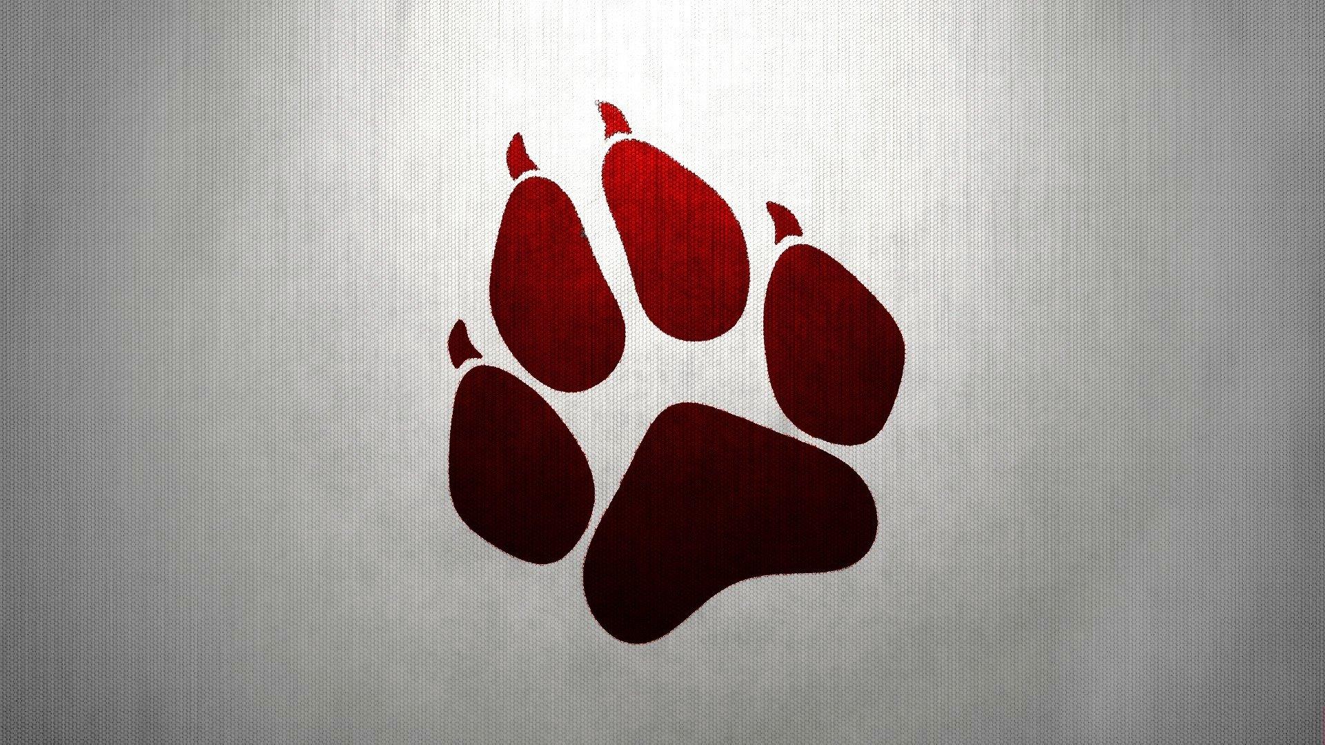 Paw HD Wallpaper and Background Image