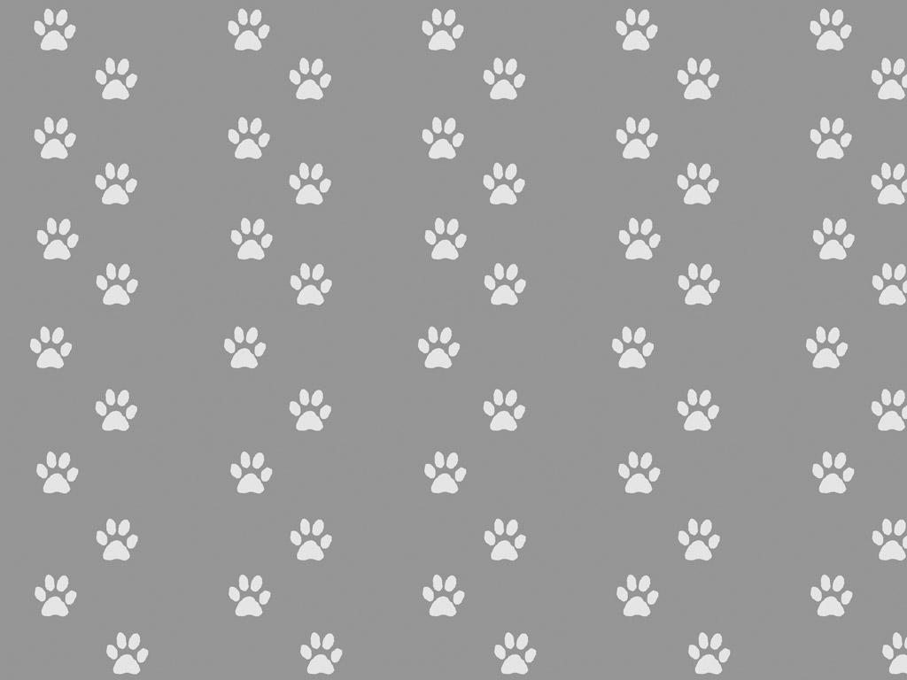 Download My Wallpaper Abstract Wallpaper Dog Paws [1024x768]