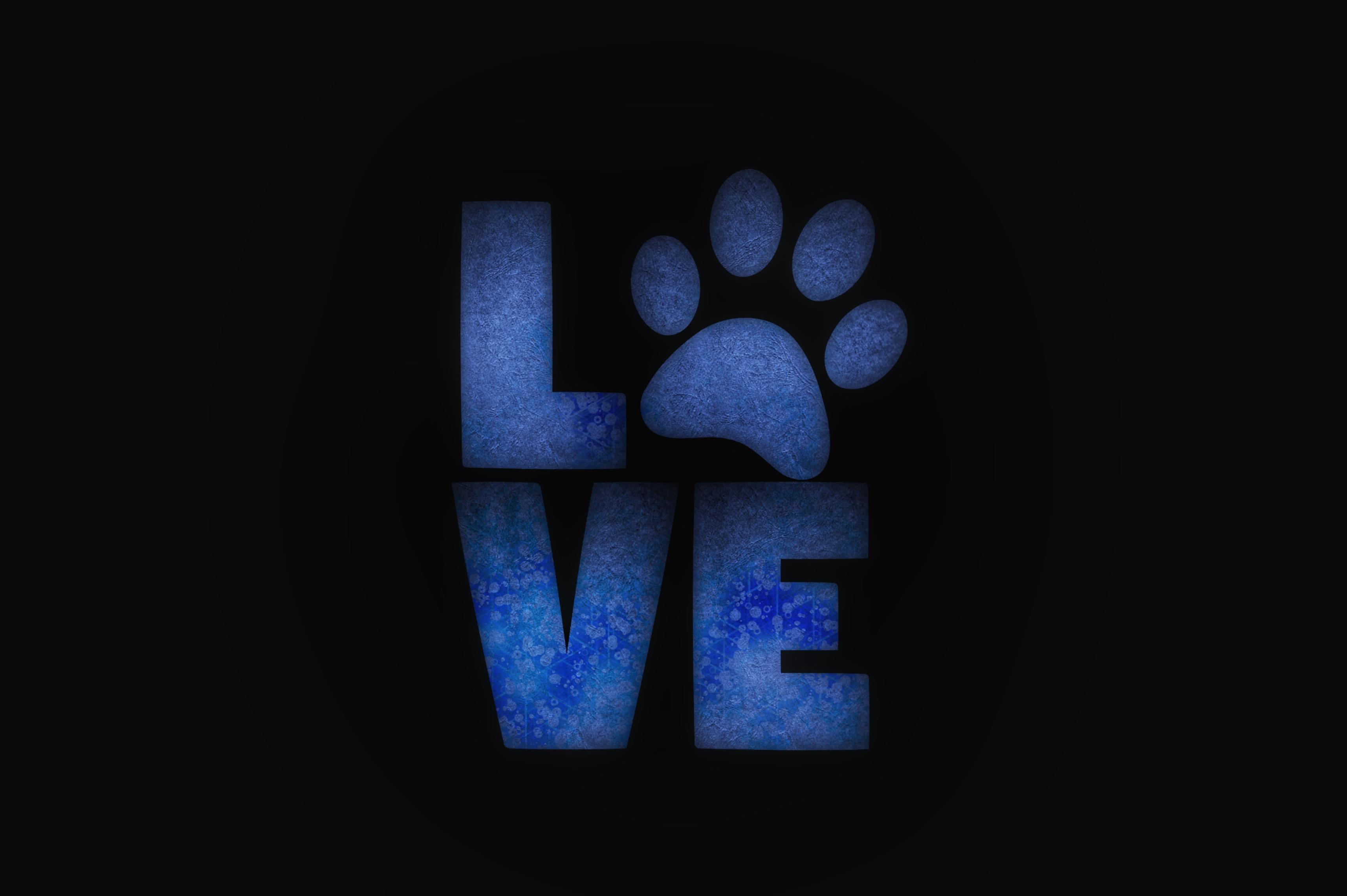 Download wallpaper 3429x2280 love, paw, animals, care HD background