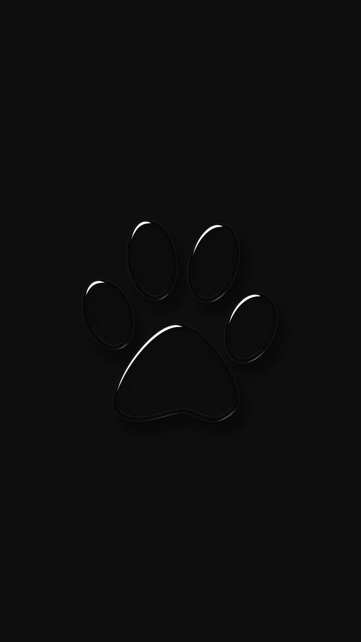 Paw Wallpapers - Wallpaper Cave