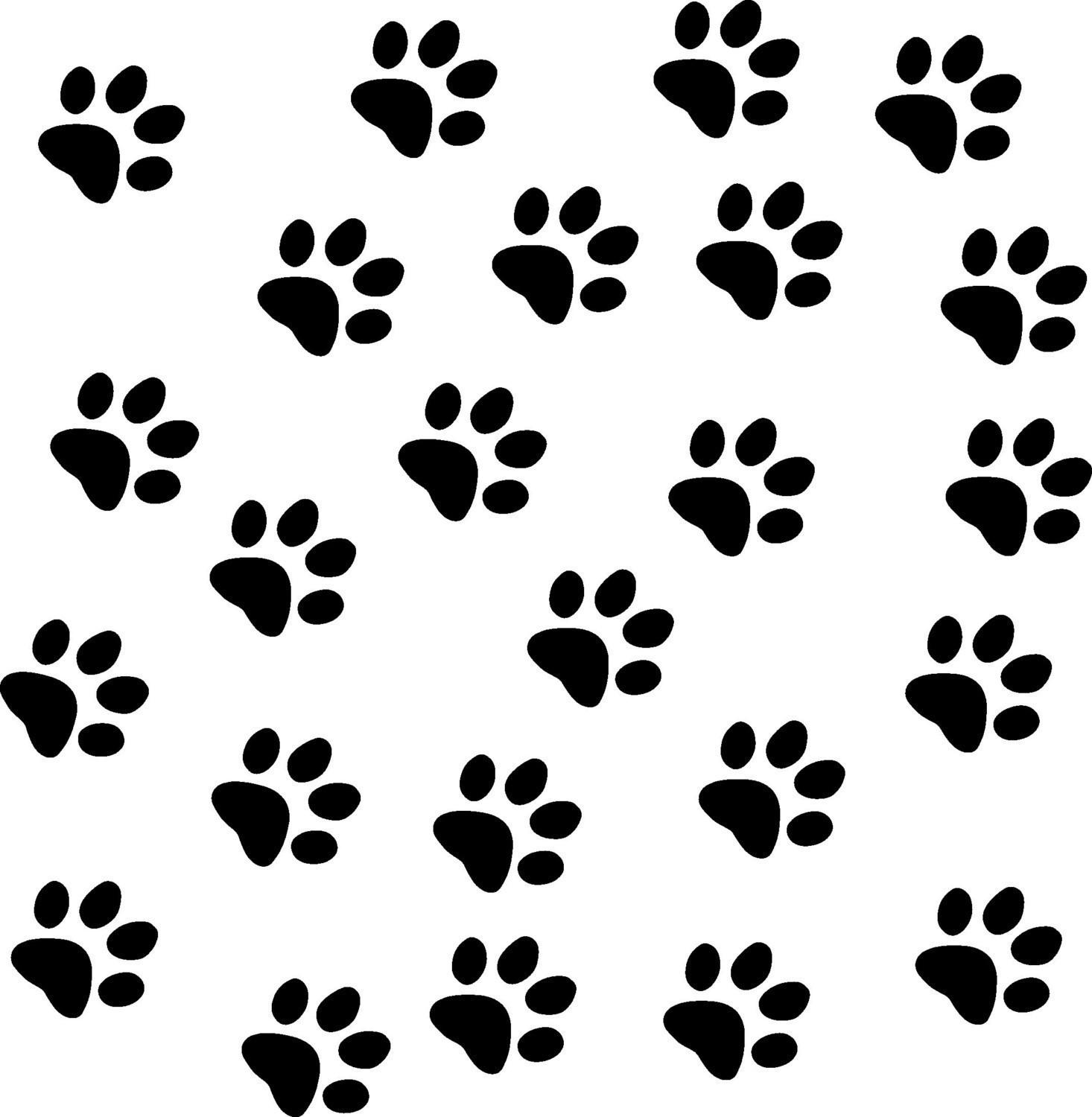 Picture Of Cat Paw Prints Wallpaper Lovely