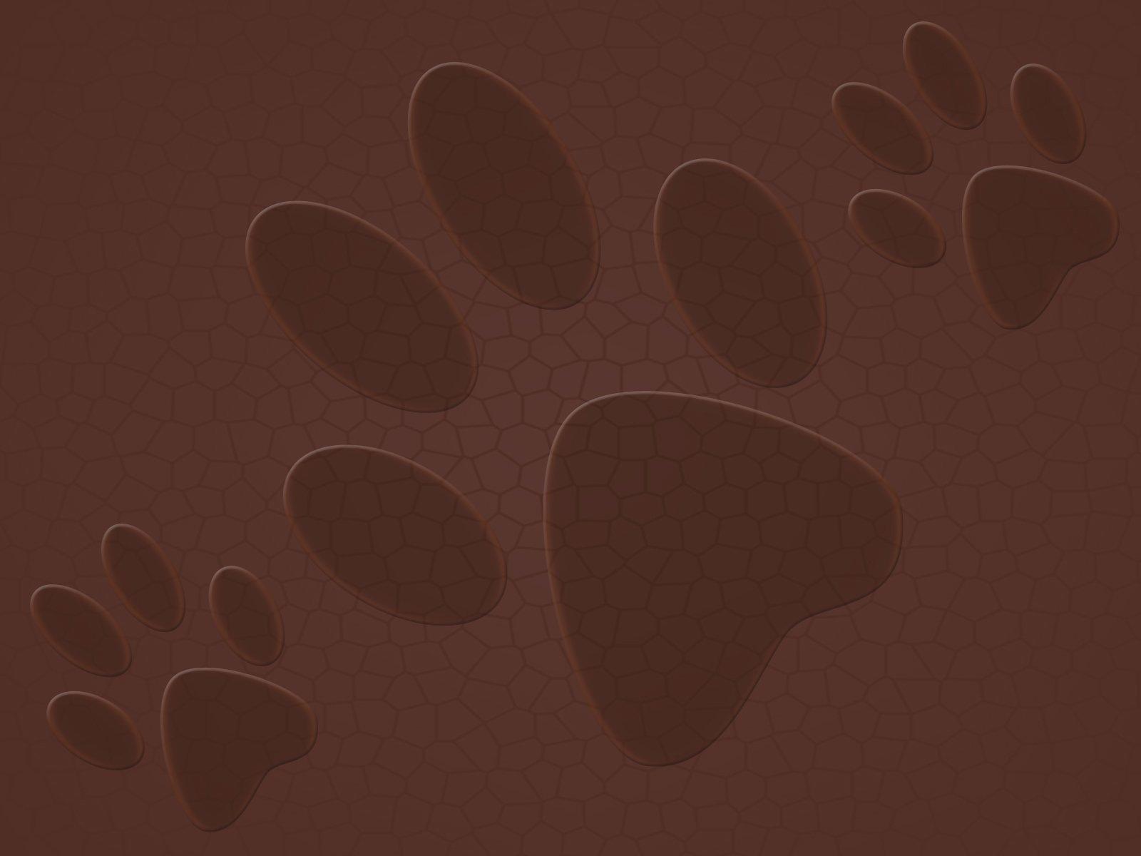 paw prints Wallpaper and Background Imagex1200