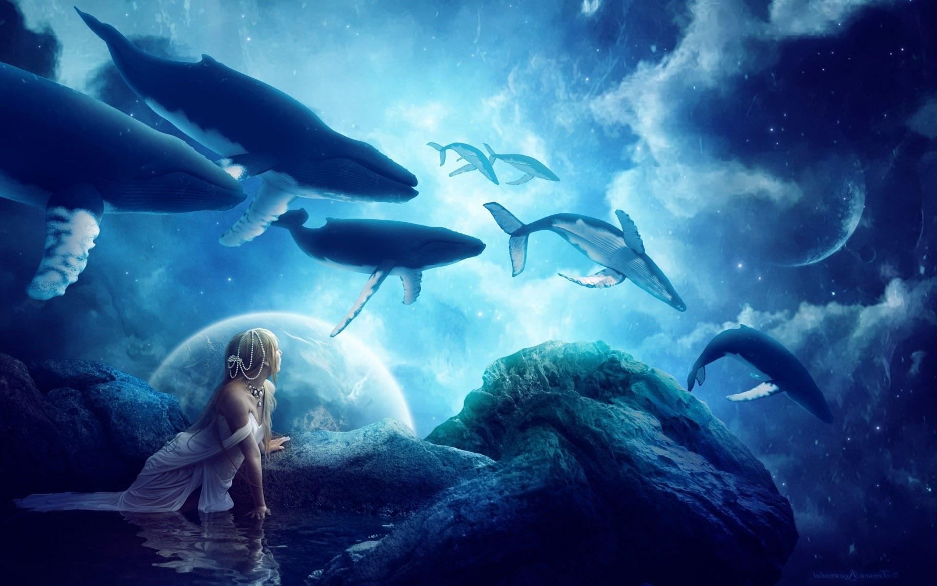 whales download latest wallpaper for pc