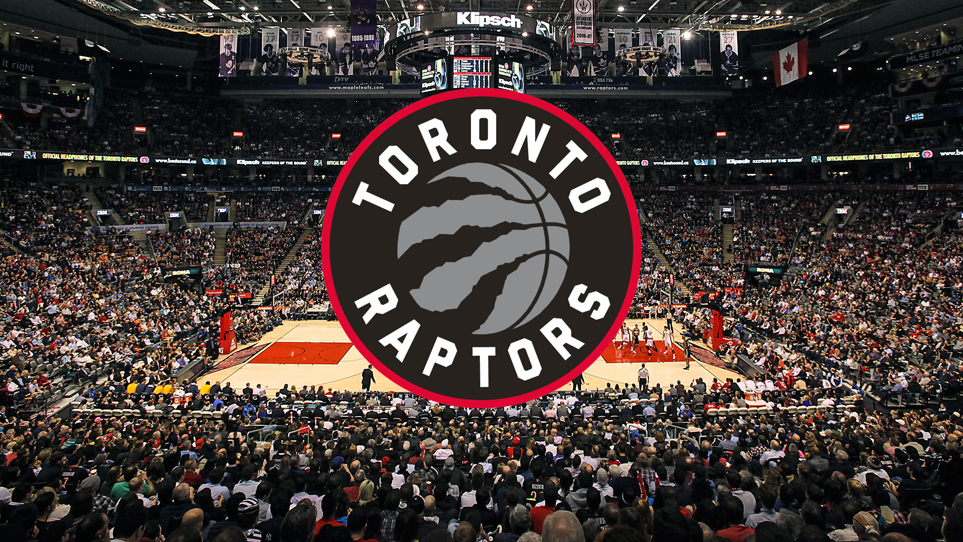 2019 NBA Champion Toronto Raptors Wallpaper by Lancetastic27 on