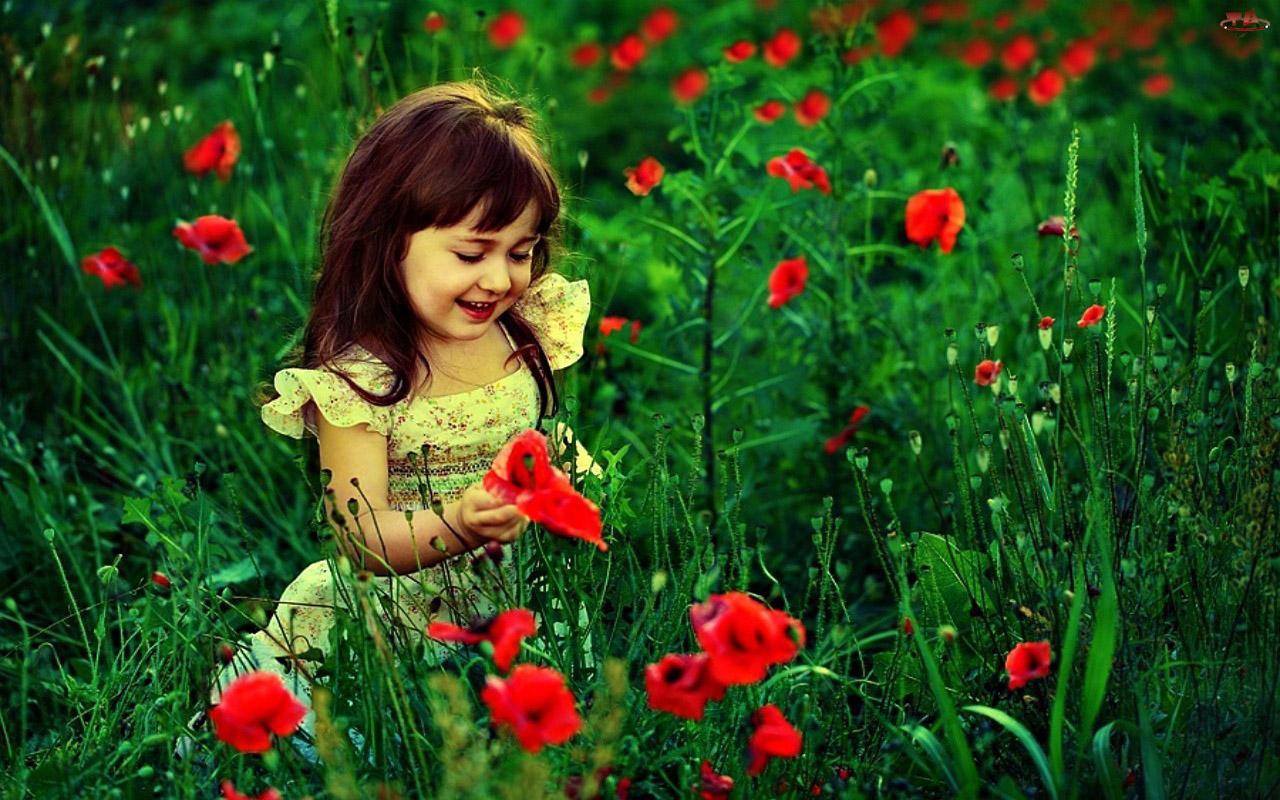 Free download Cute Baby Girl With Red Flowers HD Wallpaper Cute