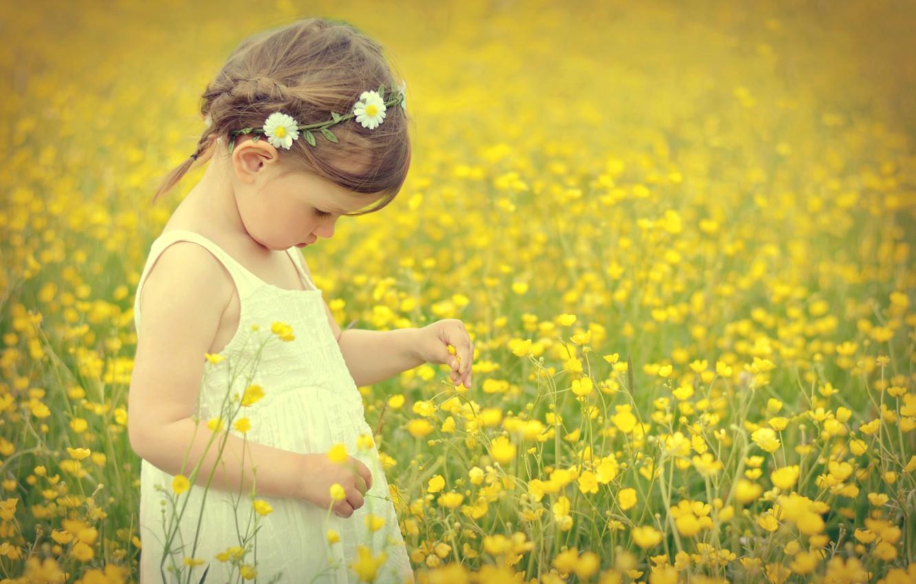 Wallpaper field, flowers, child, girl, field, flowers, child, little