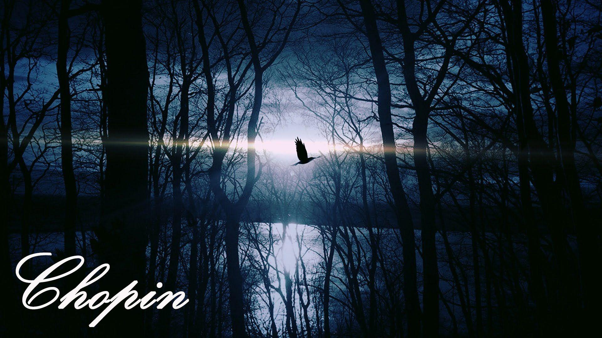 Chopin Op. 9 No. 2 (60 MINUTES) Music Piano