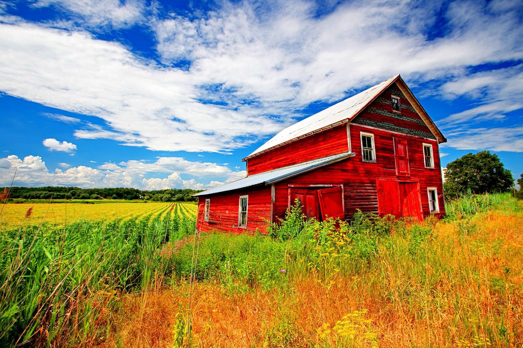 Download Red Old Barn In The Farm Wallpaper  Wallpaperscom