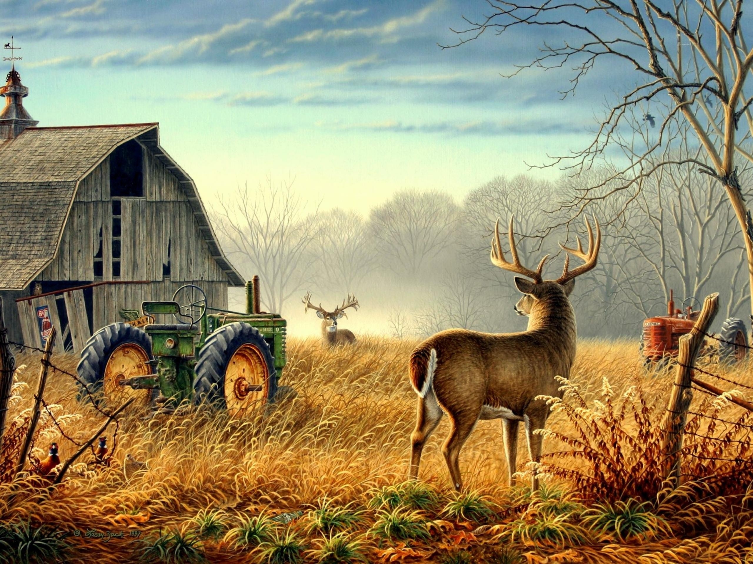 nature, Trees, Fences, Birds, Fog, Mist, Deer, Barn, Farm, Competition, Animals, Bird, Mood Wallpaper HD / Desktop and Mobile Background