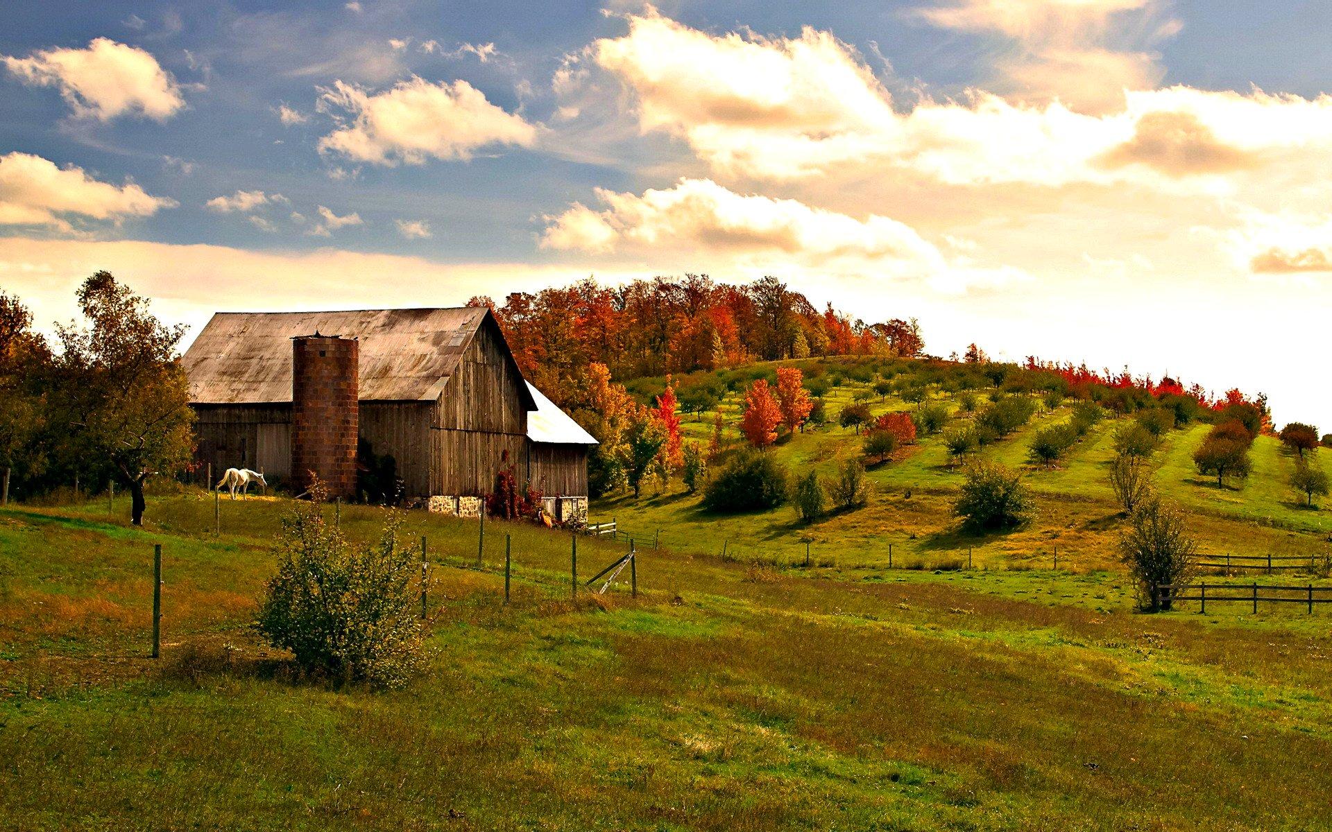 Barn HD Wallpaper and Background Image