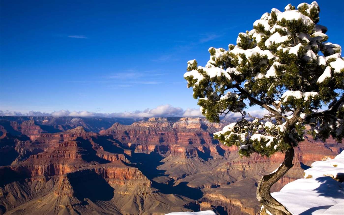 Microsoft release The Grand Canyon National Park Windows 10
