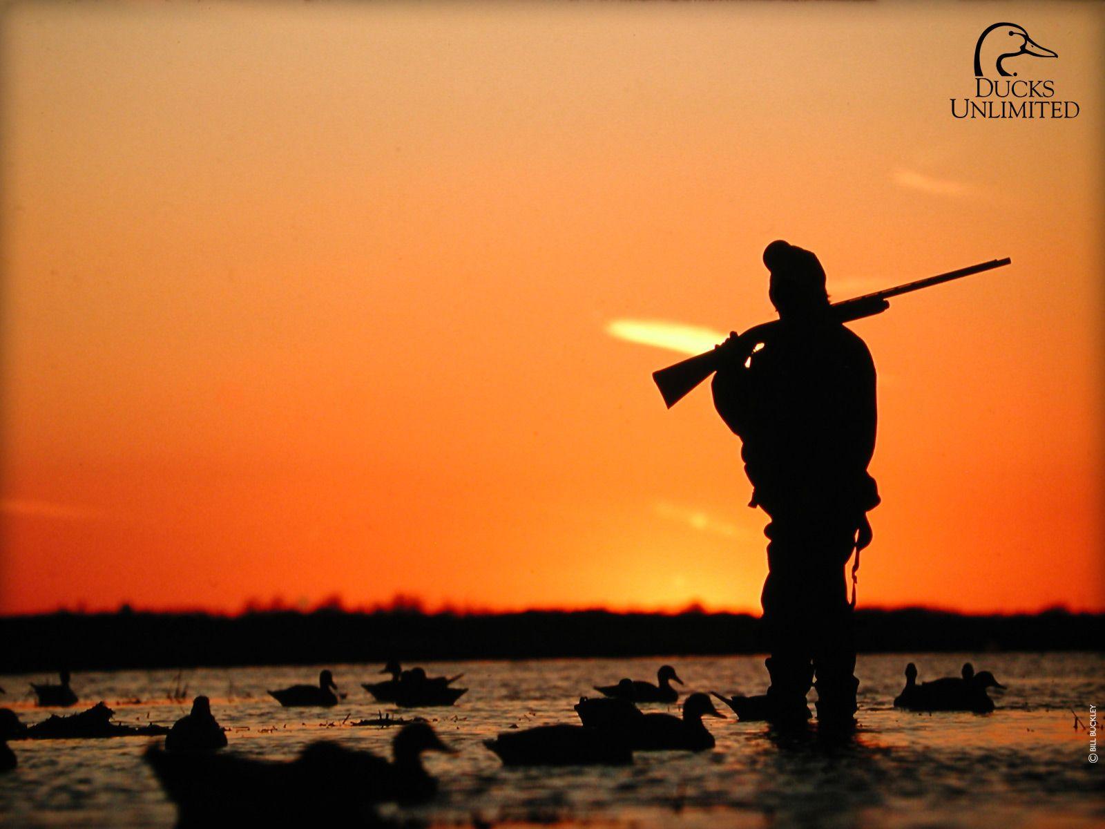 Duck Hunting Wallpaper