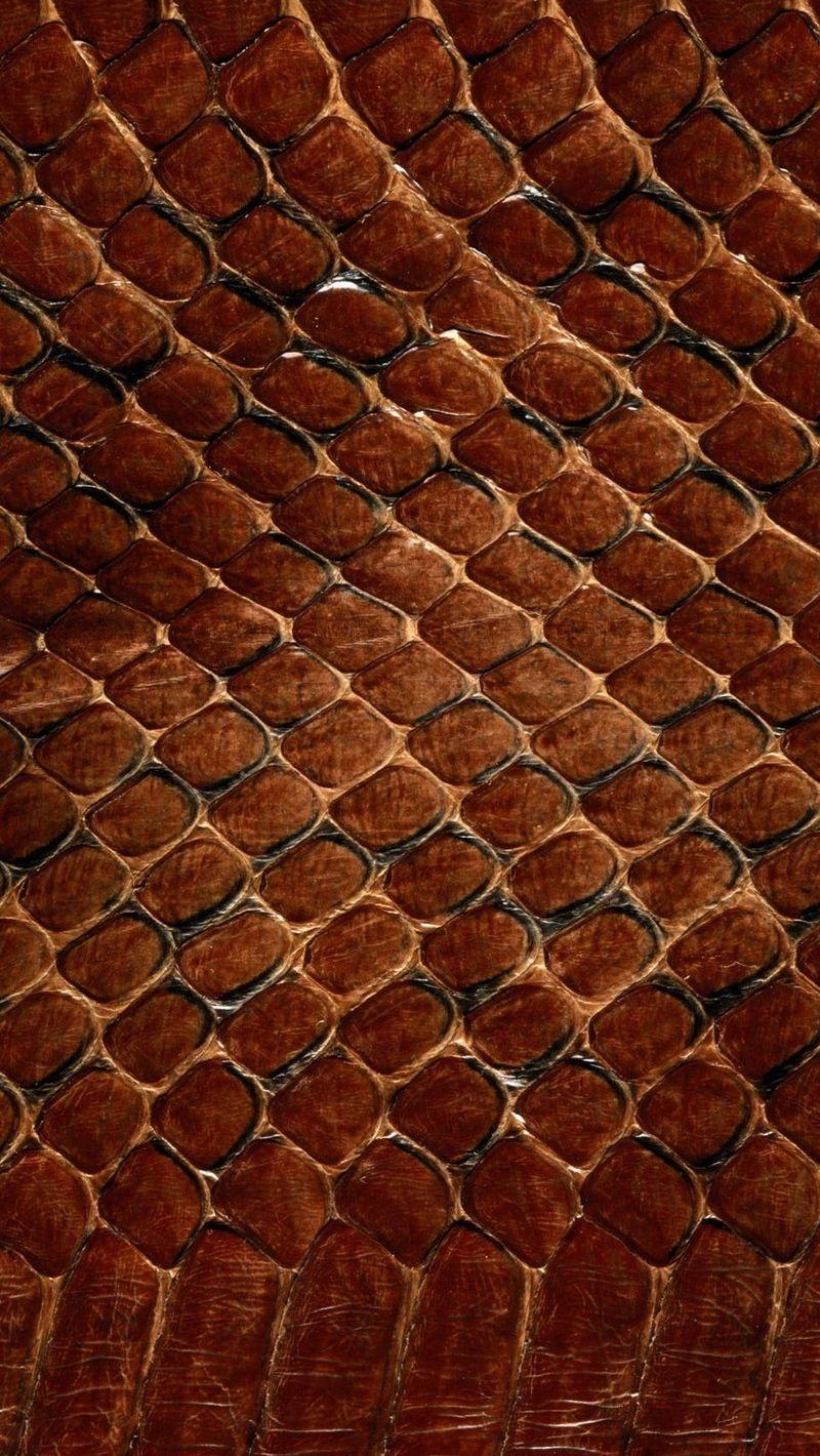 Reptile Scales iPhone Wallpaper Free Reptile Scales iPhone