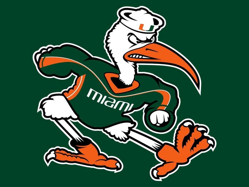 Sebastian the Ibis of Miami. US college logos
