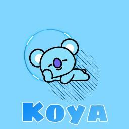 Bt21 Koya Wallpapers Wallpaper Cave