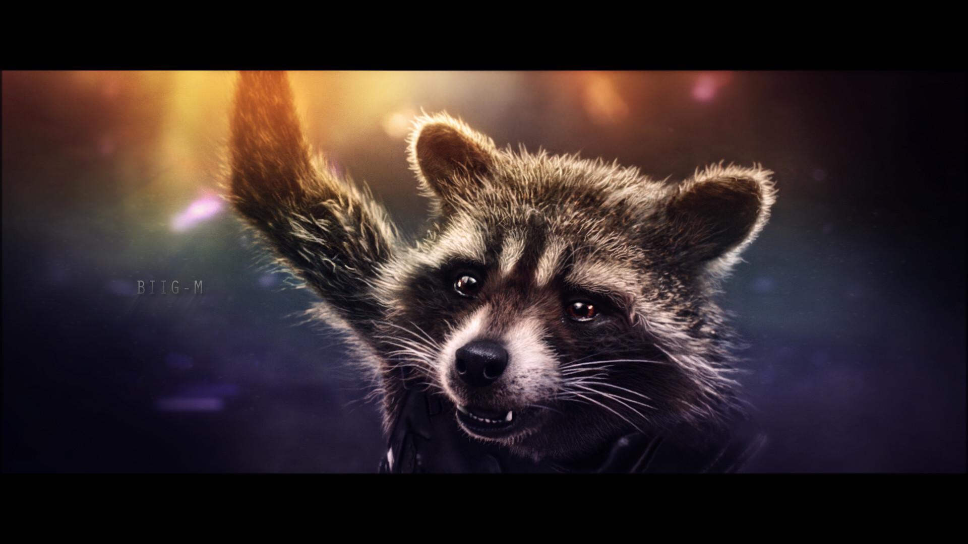 Rocket Raccoon Wallpaper background picture