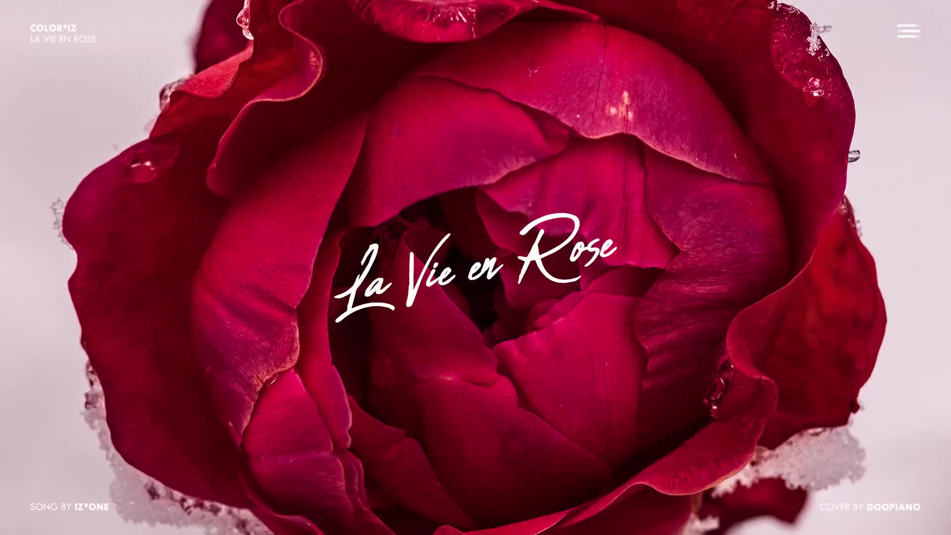 La Vie En Rose Wallpapers - Wallpaper Cave