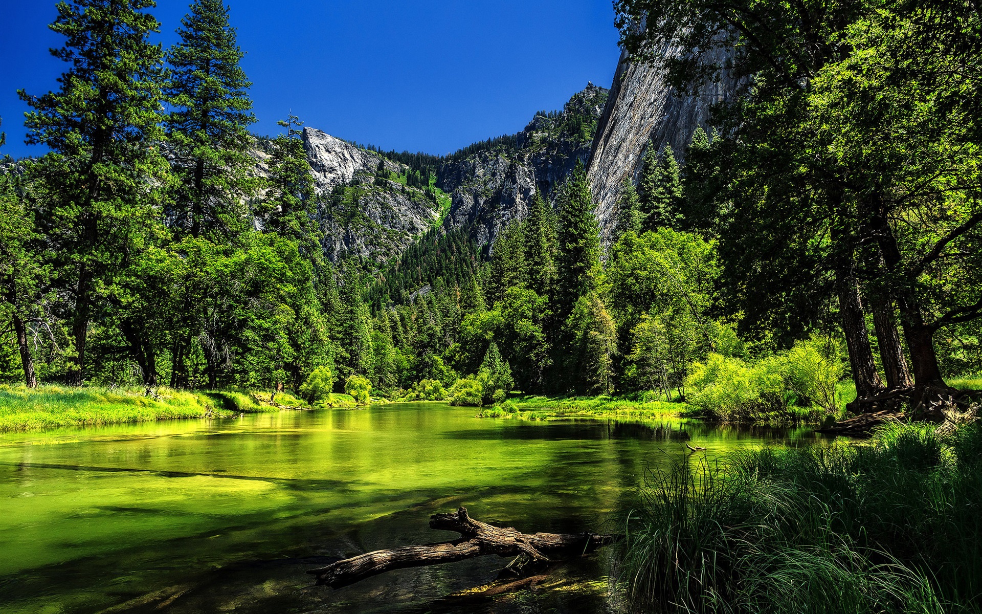 Wallpaper Yosemite National Park, California, USA, lake, green trees
