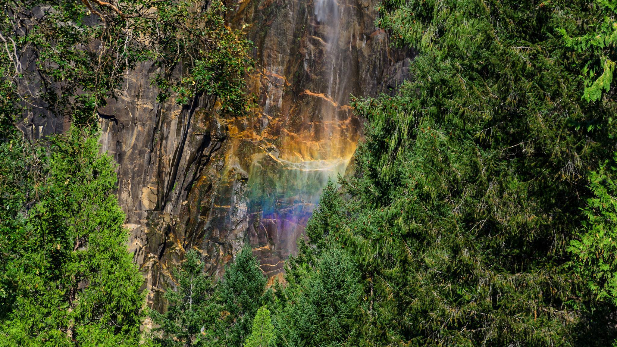 Yosemite National Park Wallpaper, Picture, Image