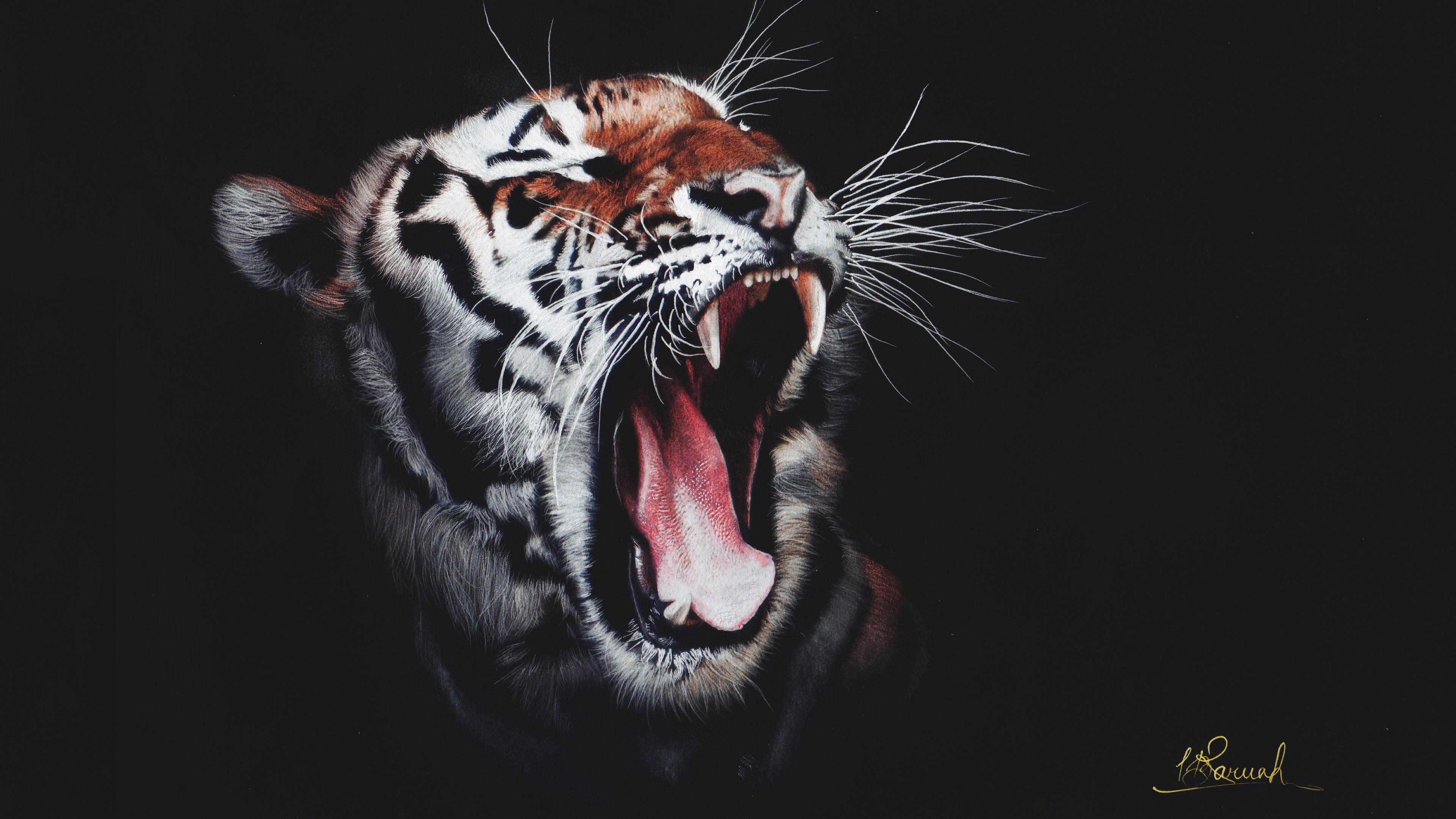Roaring Tiger 4K Wallpaper