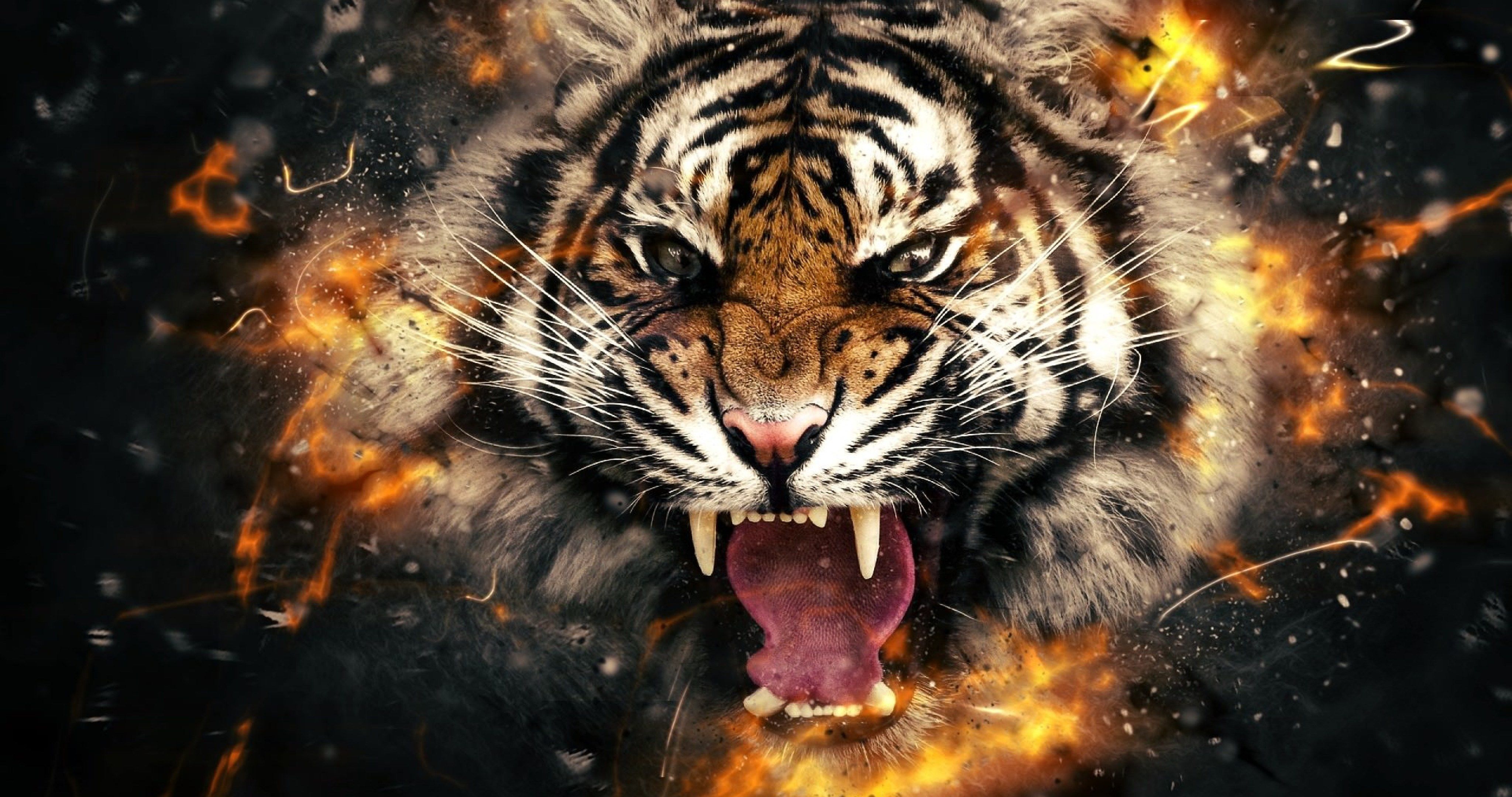 8K Tiger UHD Wallpapers  Top Free 8K Tiger UHD Backgrounds   WallpaperAccess