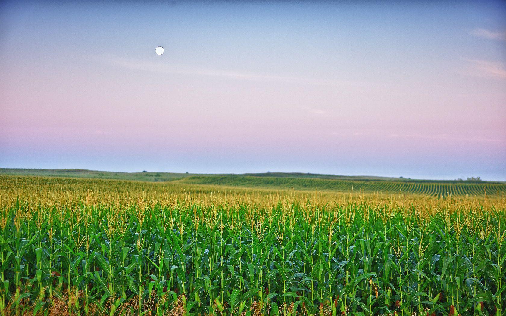 Iowa Wallpapers Wallpaper Cave