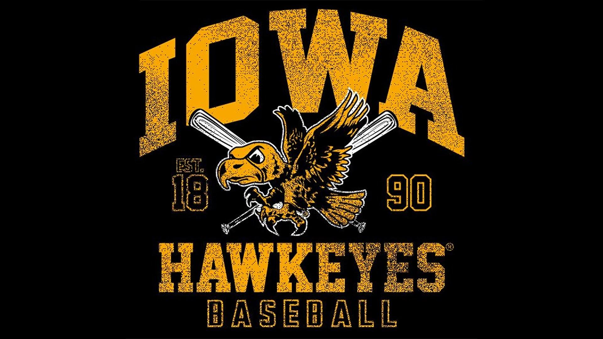 Iowa Hawkeye Wallpaper (image in Collection)