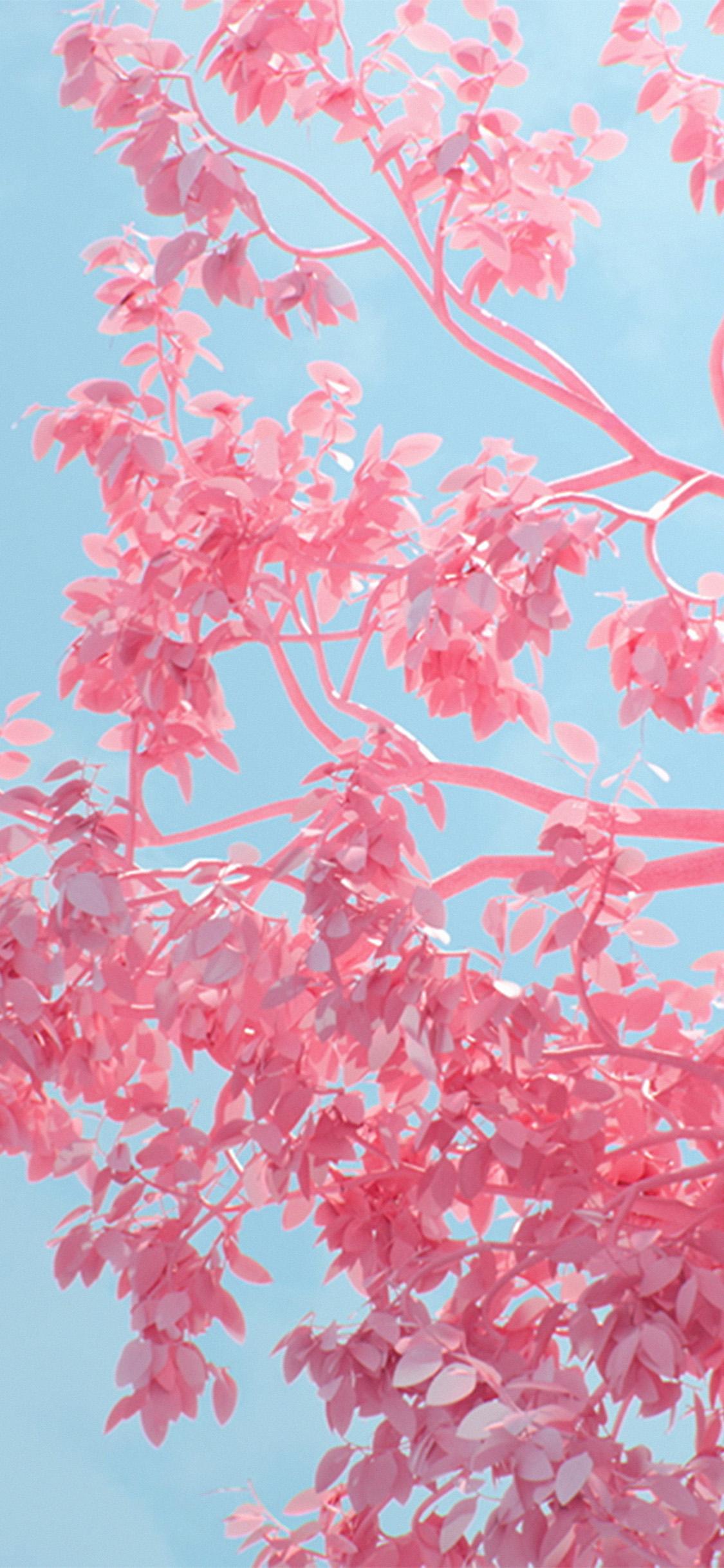 iPhone X wallpaper. tree pink spring