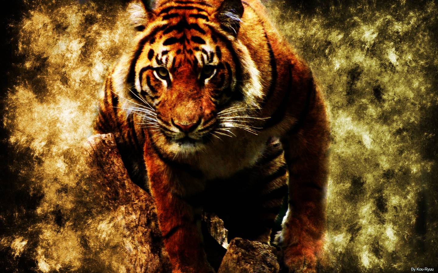 Wide HD Tiger Wallpaper