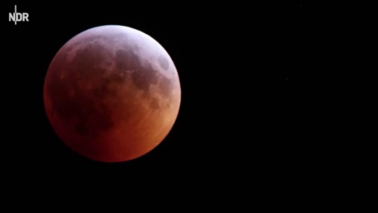 Eclipse 2019 picture: Stunning Blood Moon photo from around