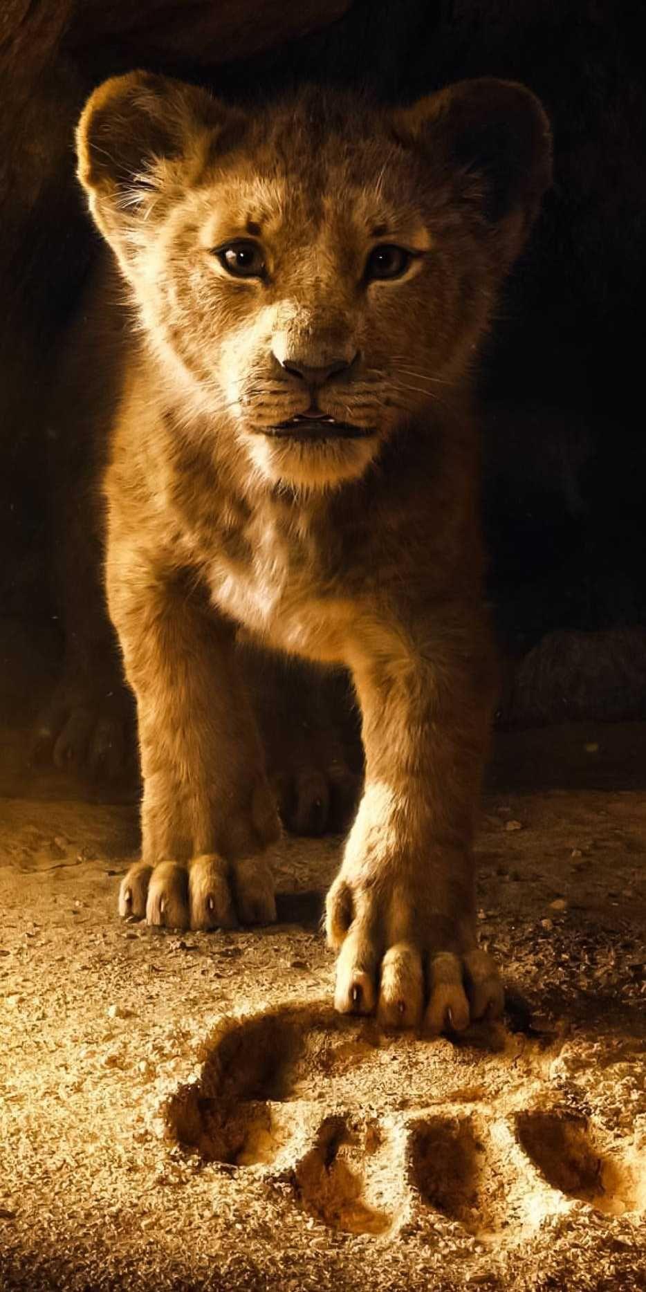 The Lion King iPhone Wallpaper. Photography en 2019. Fondo de