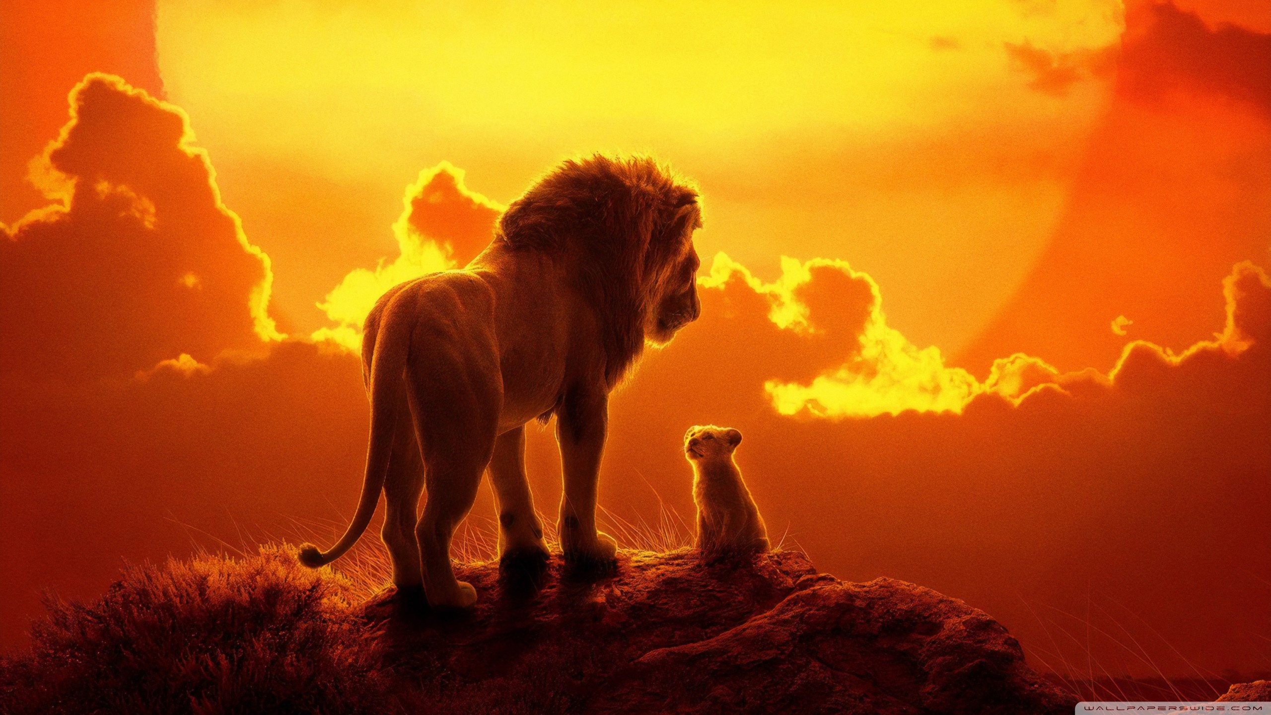 The Lion King 2019 Ultra HD Desktop Backgrounds Wallpapers for 4K