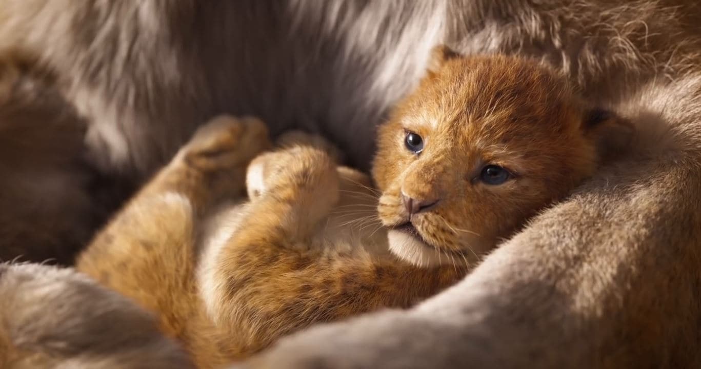 The Lion King's First Recreates the Most Iconic Scenes