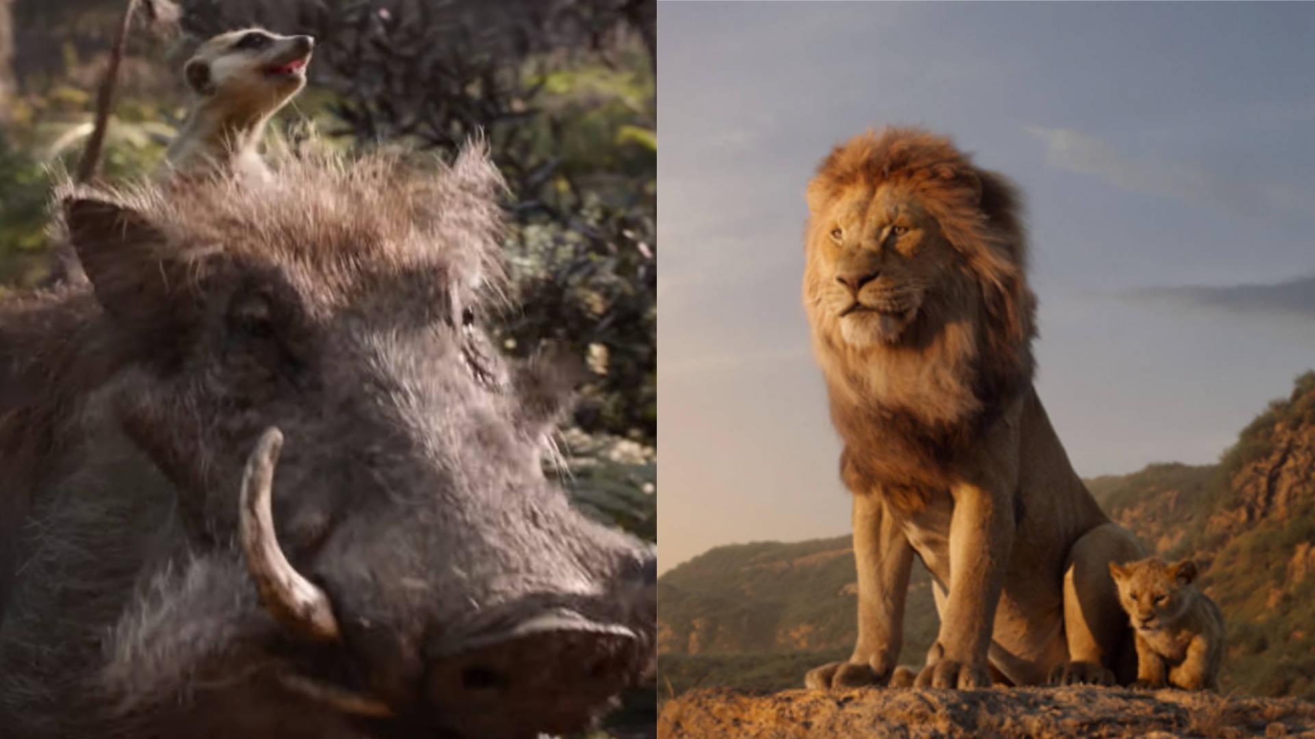 The Lion King trailer: Watch the stunning new trailer showing Mufasa