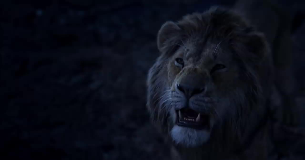 The Lion King HD Wallpaper 2019 The Galleries of HD Wallpaper