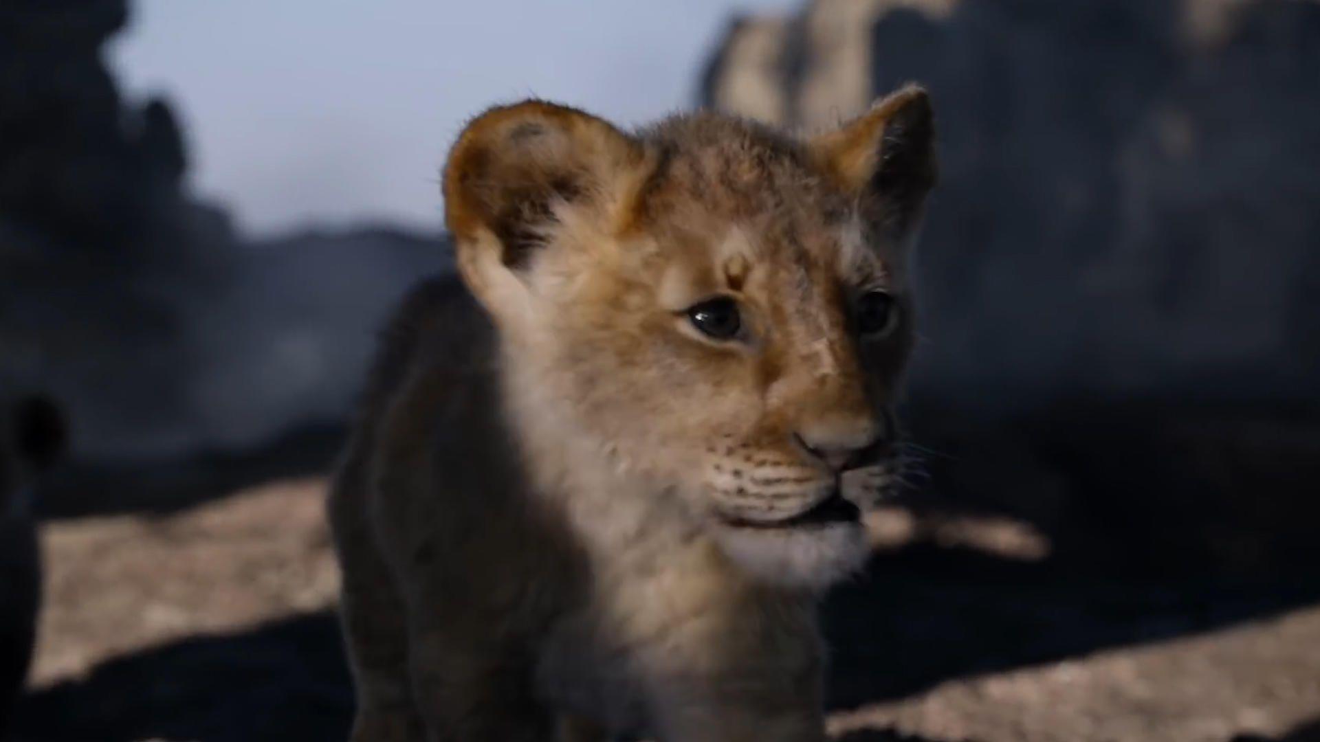 Watch The Lion King (2019) Full Movie Free Download Online with HD
