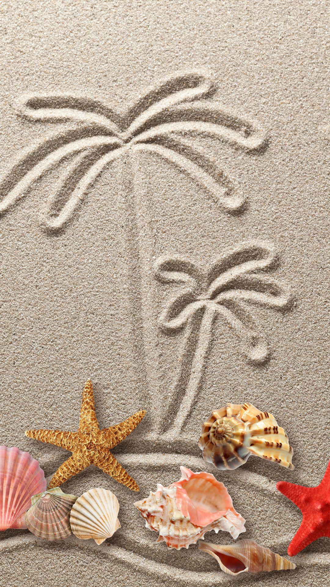 texture, seashells, sand, figure, starfish, drawing, shell, sand