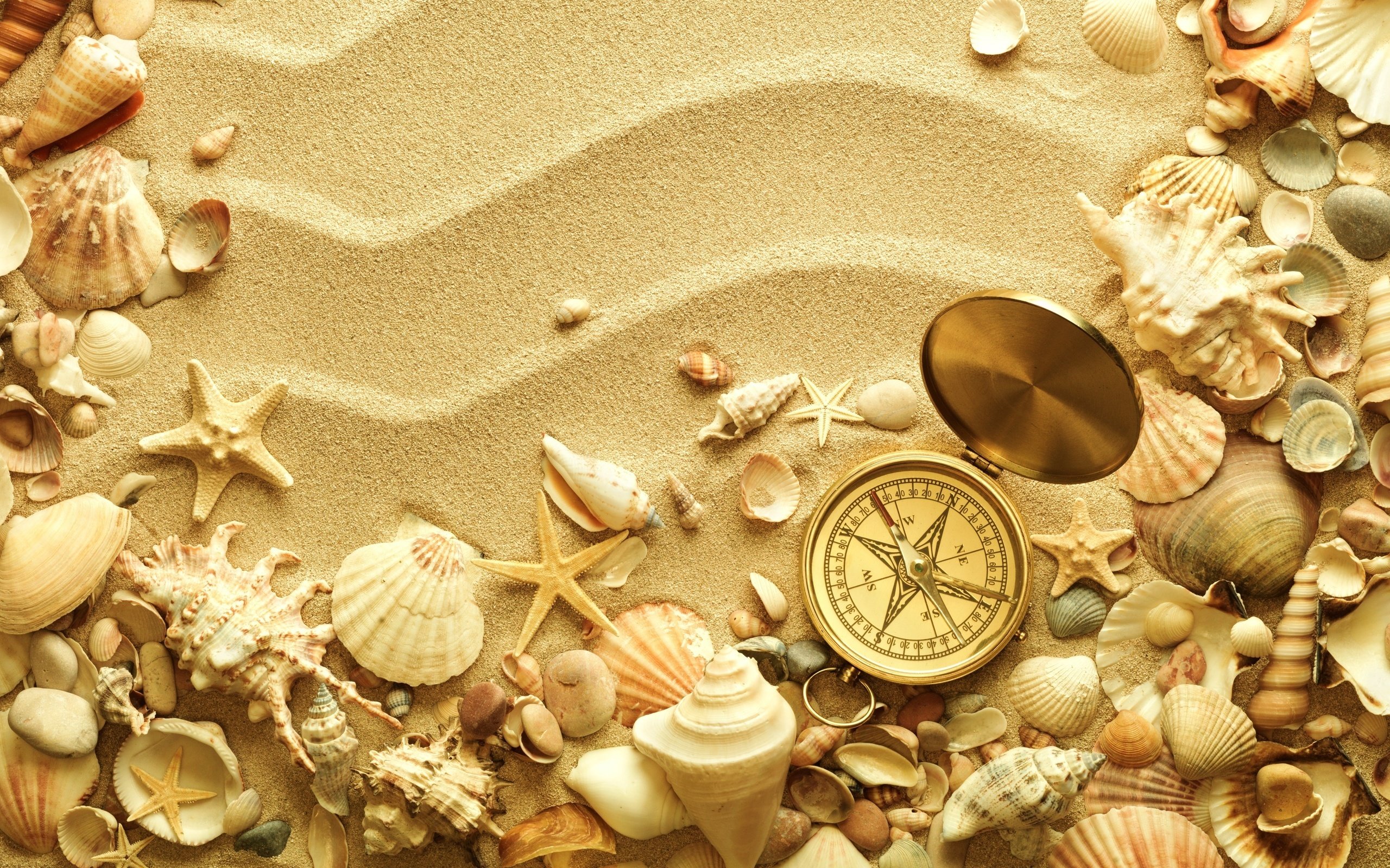 Ocean Sand Shells HD Wallpaper, Background Image