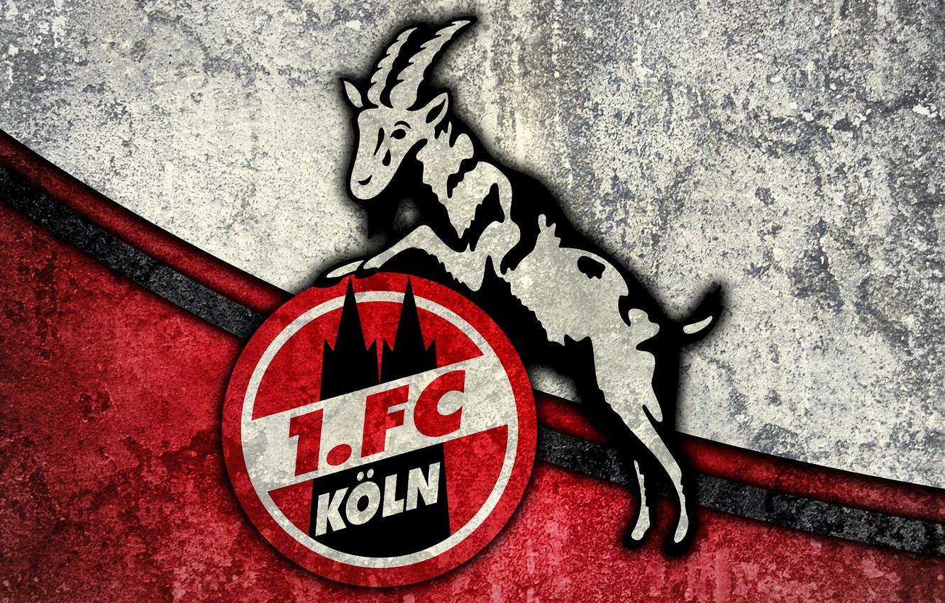 Wallpaper wallpaper, sport, logo, football, 1. FC Koln image