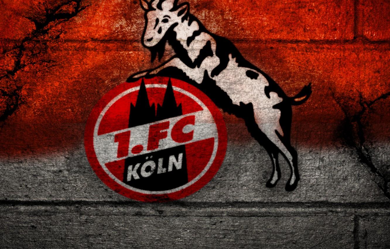 Wallpaper wallpaper, sport, logo, football, 1. FC Koln image