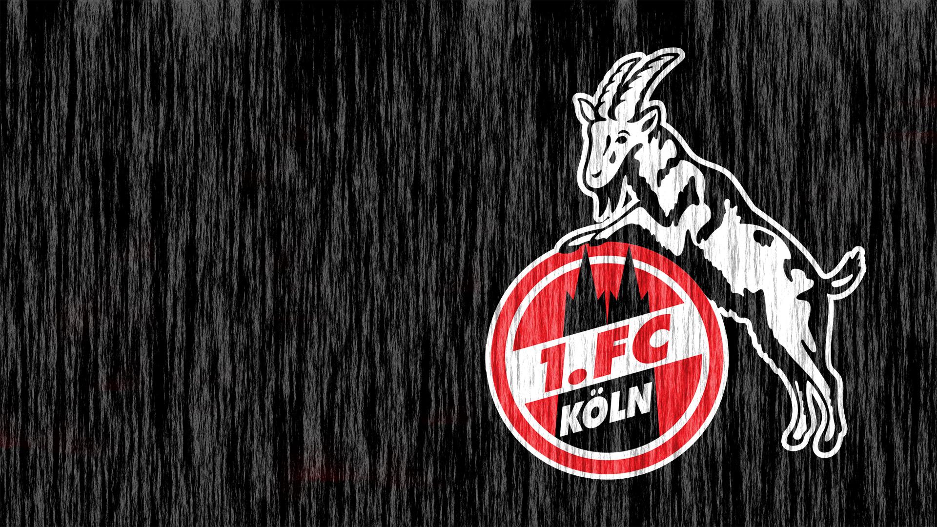 Fc Köln Wallpaper Handy - 1. FC Köln | Hintergrundbilder : Fc köln fc