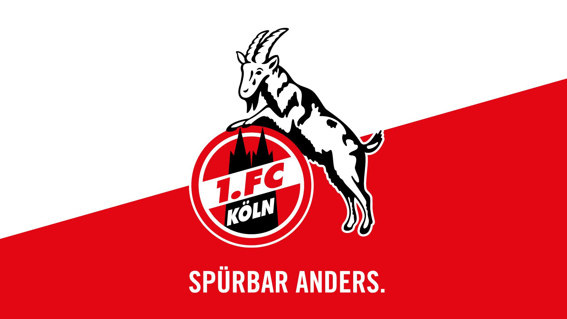 1. FC Köln. Bundesliga