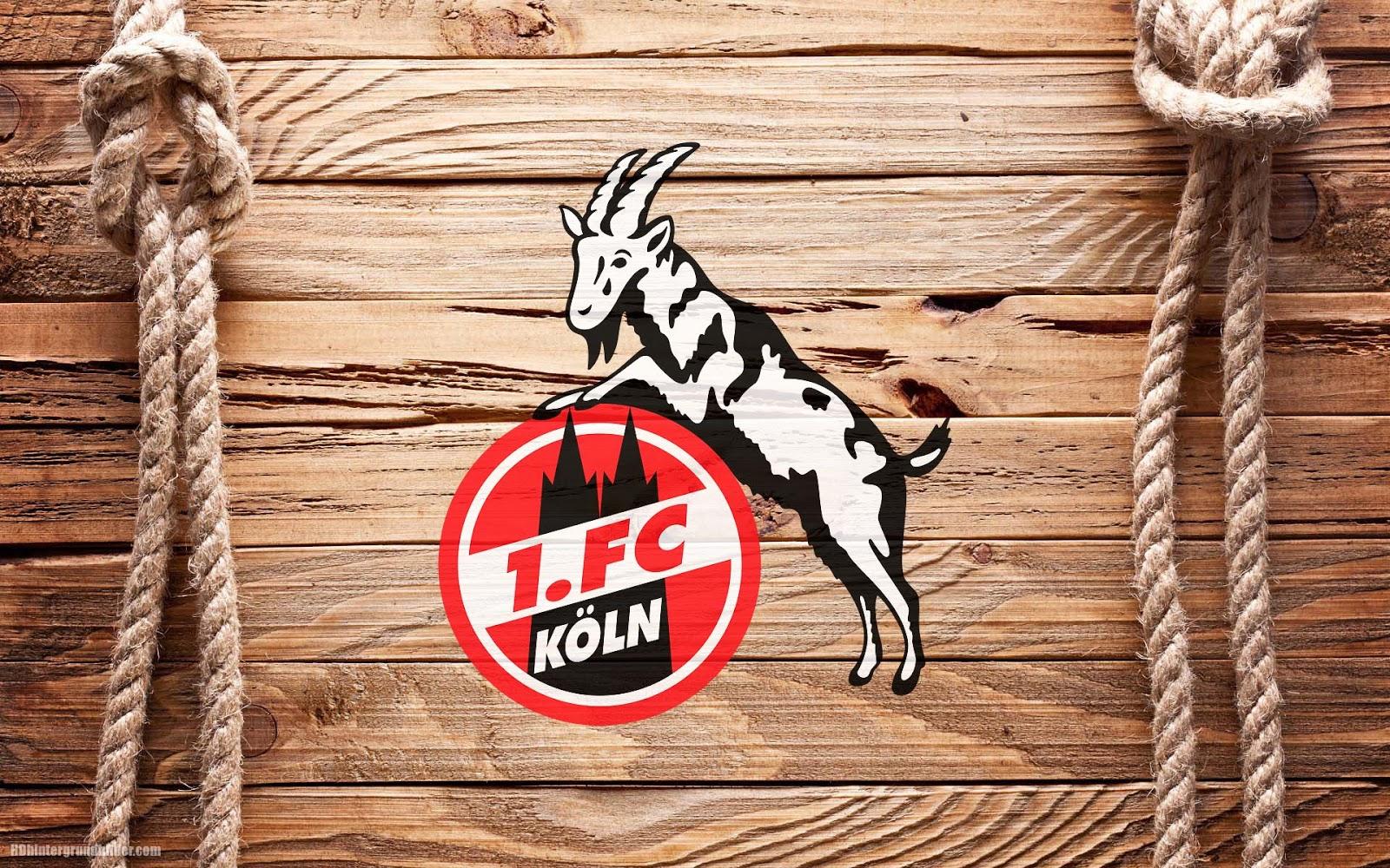 1. FC Köln wallpaper