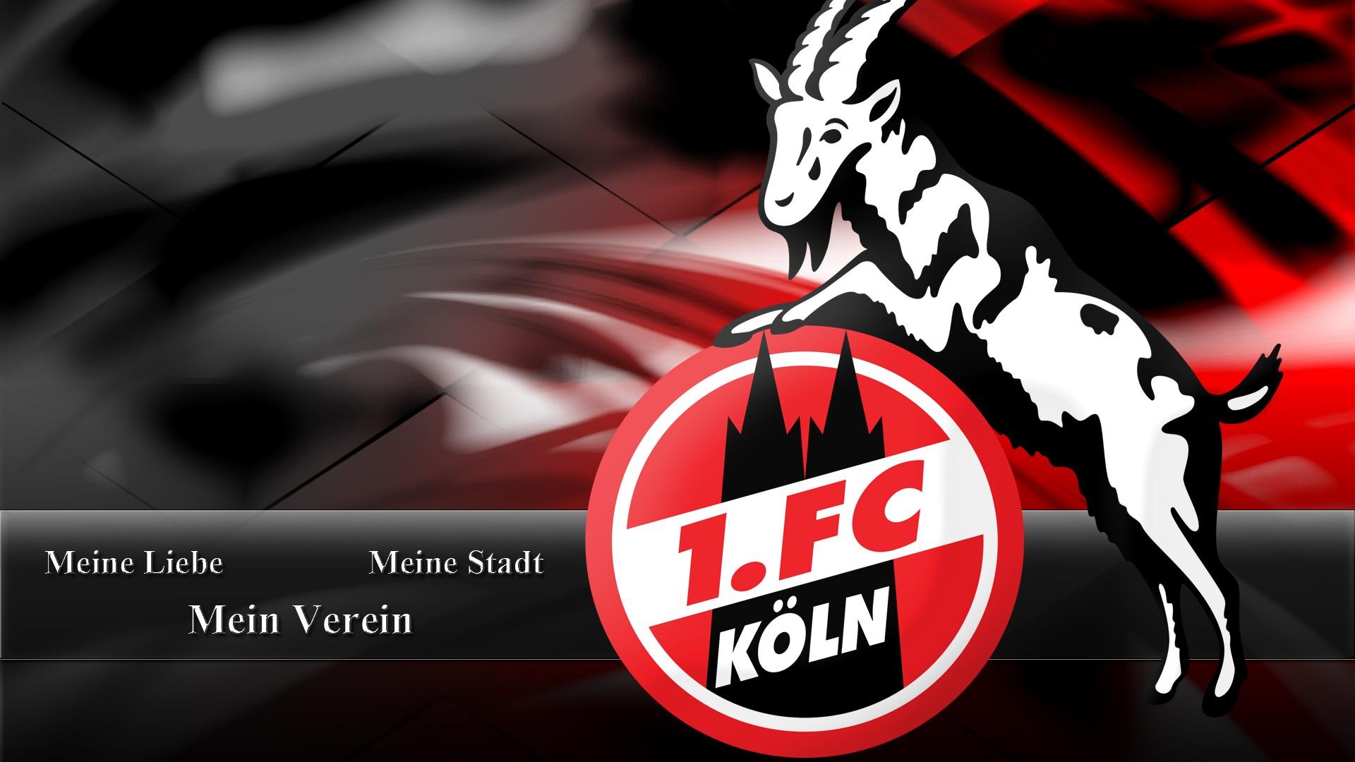 FC Köln 1920x1080 HD Wallpaper / Hintergrundbild